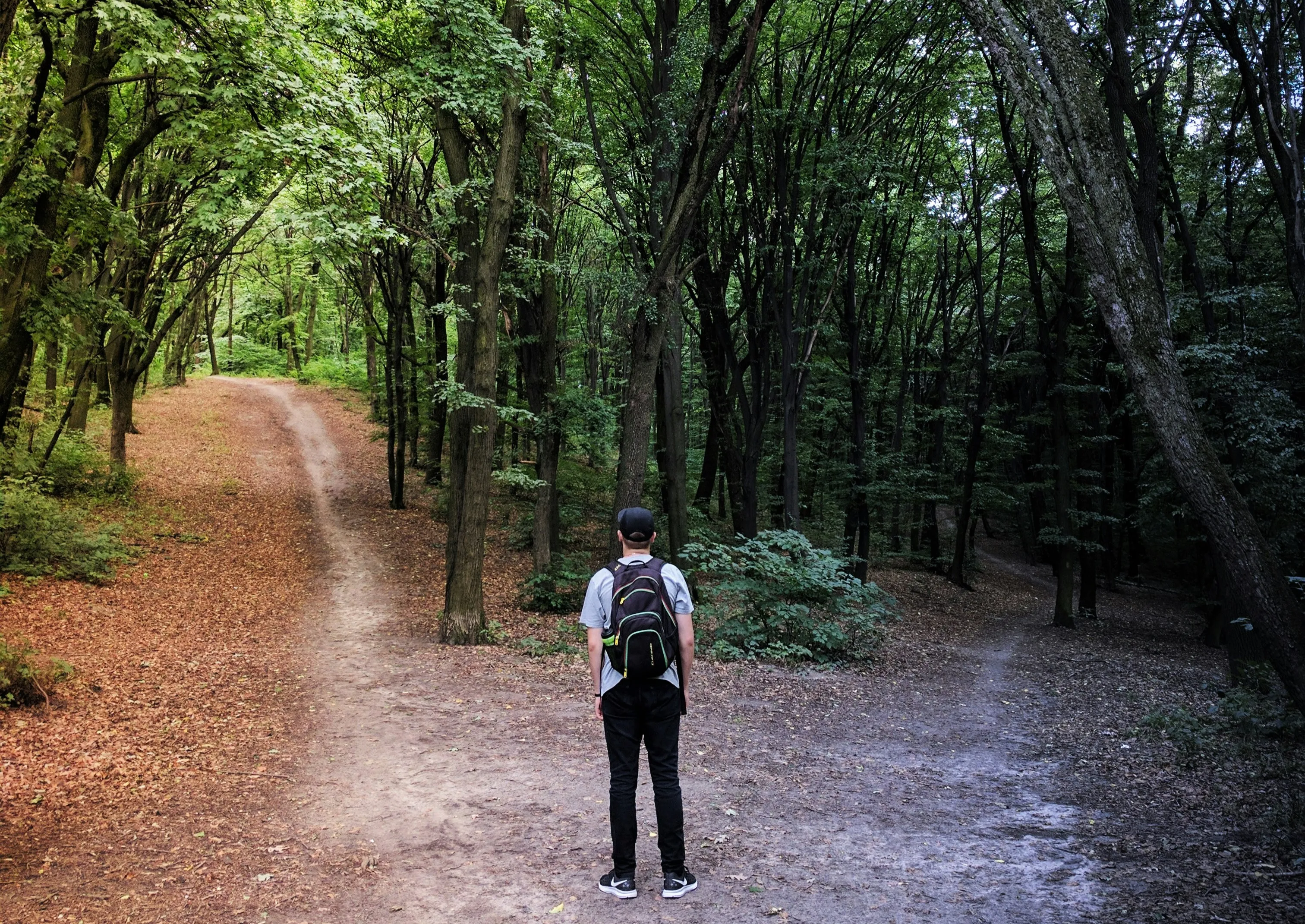 Crossroads representing a career decision